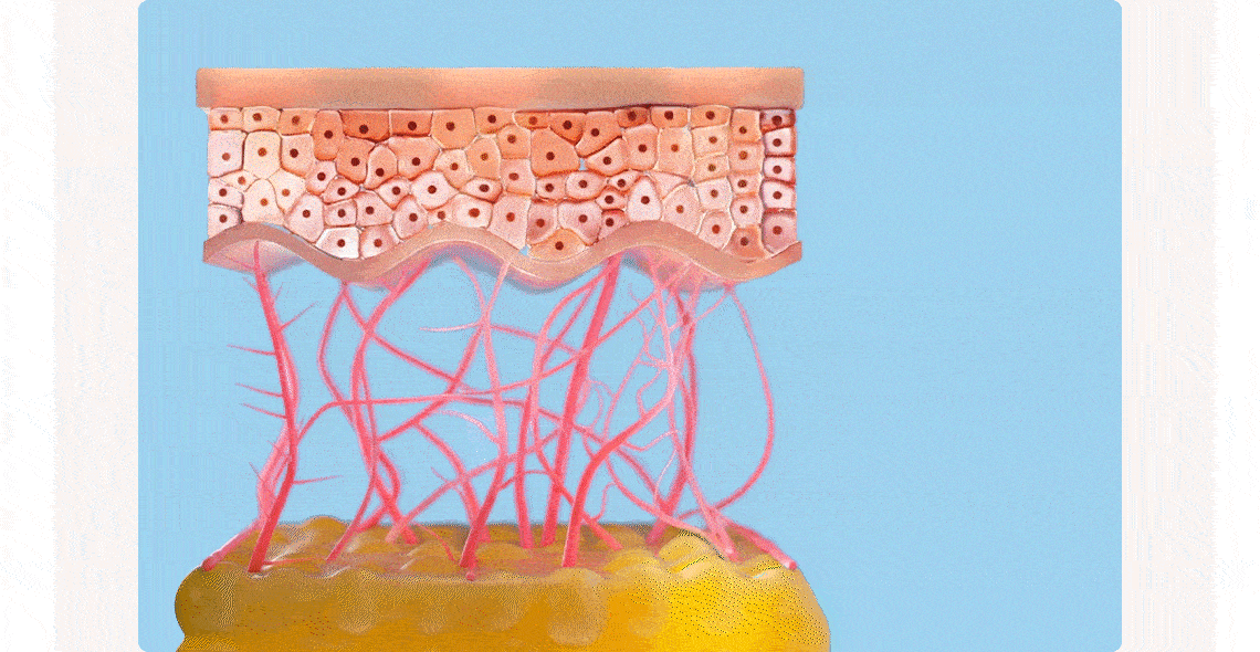 선플루이드2_GIF