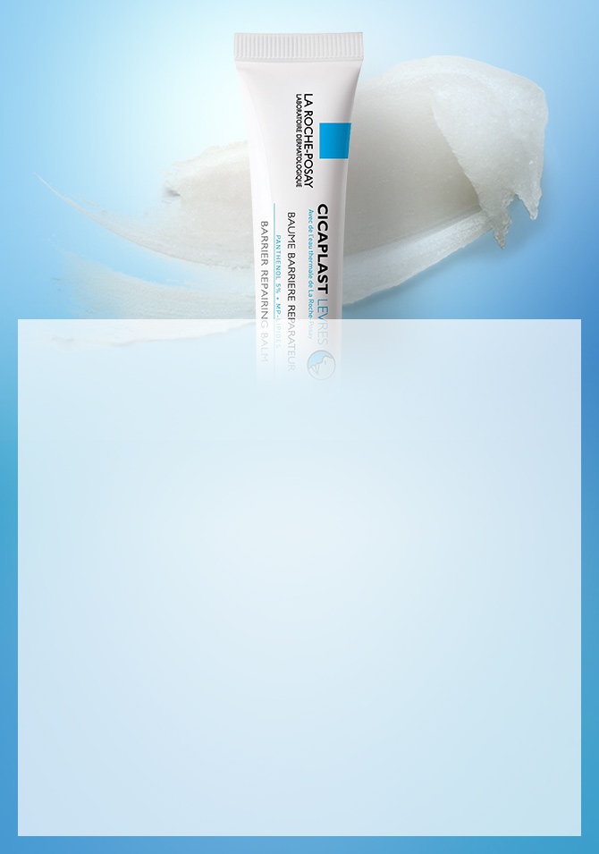 이중 보호 입술