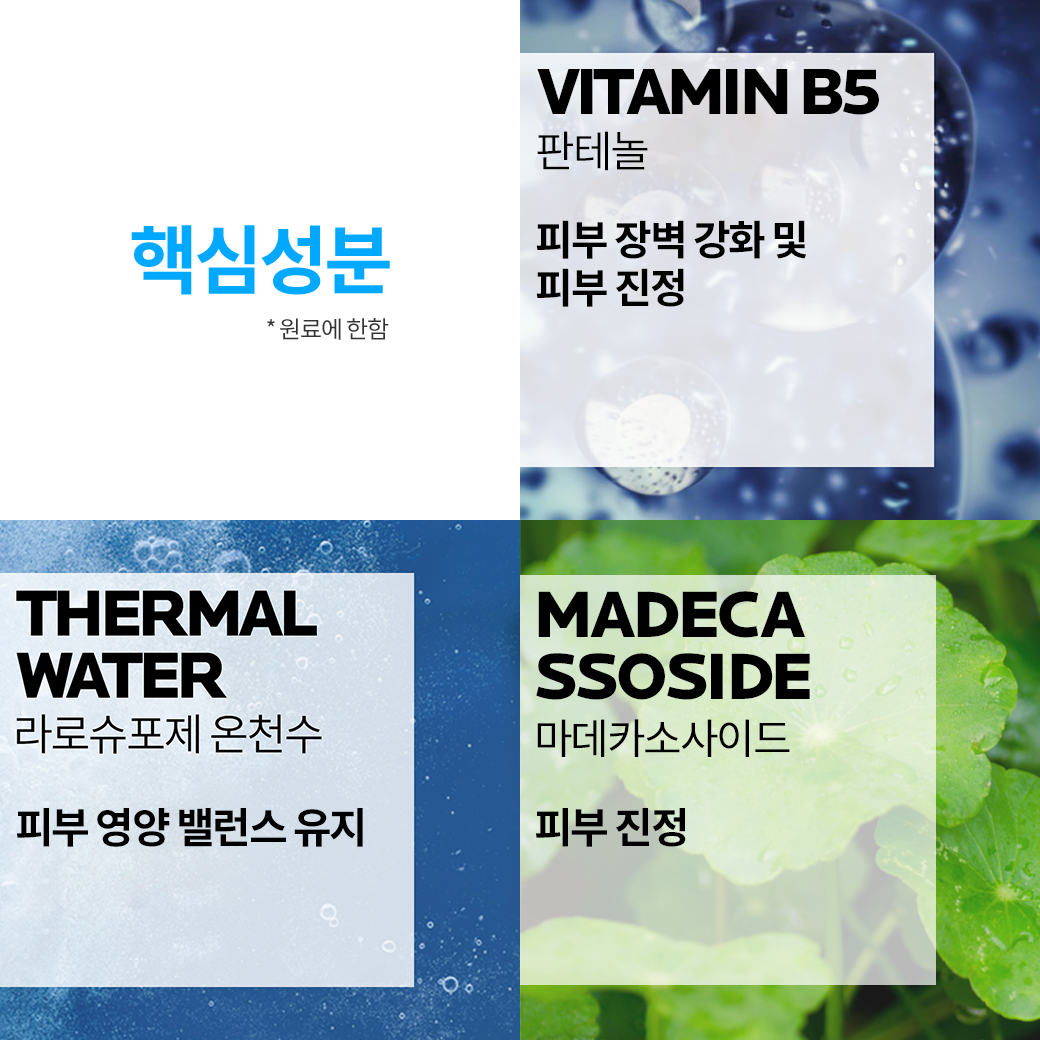 B5 스프레이 100ml