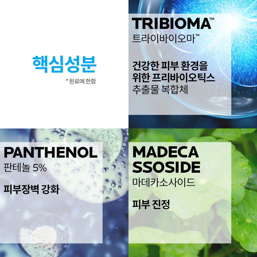 멀티 리페어 크림 B5 100ml & 에센스 30ml + 추가 증정
