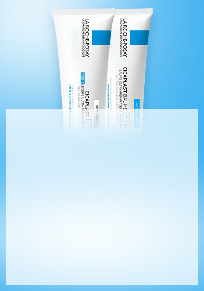 장벽 케어 솔루션