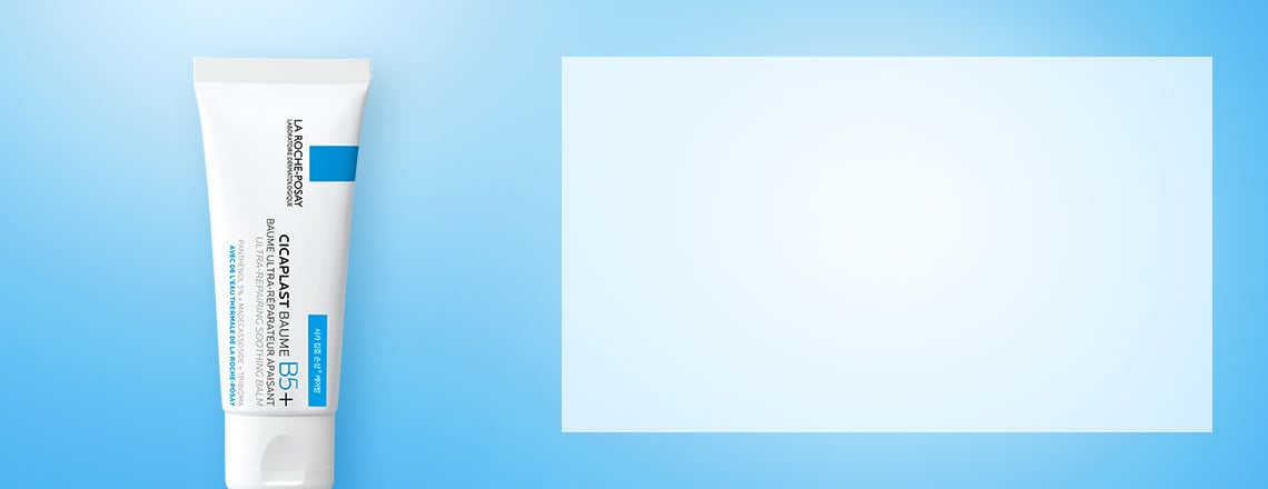 신규 회원 전용💙