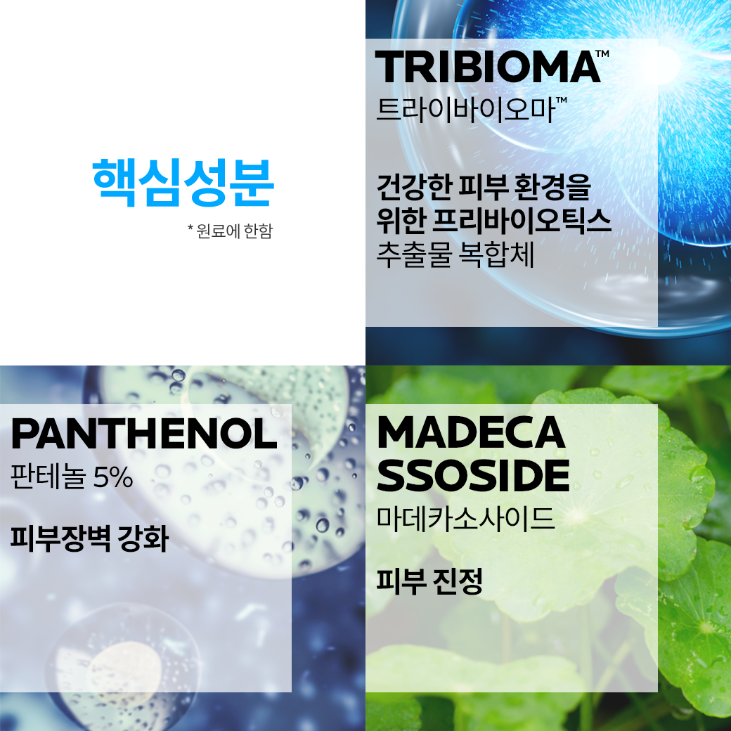 밤 B5+ [100ml] 더블 세트 + 추가 증정