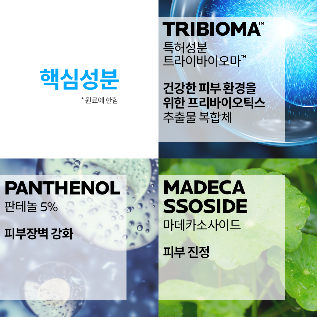 대용량 밤 B5+ [200ml] 더블 세트 + 추가 증정