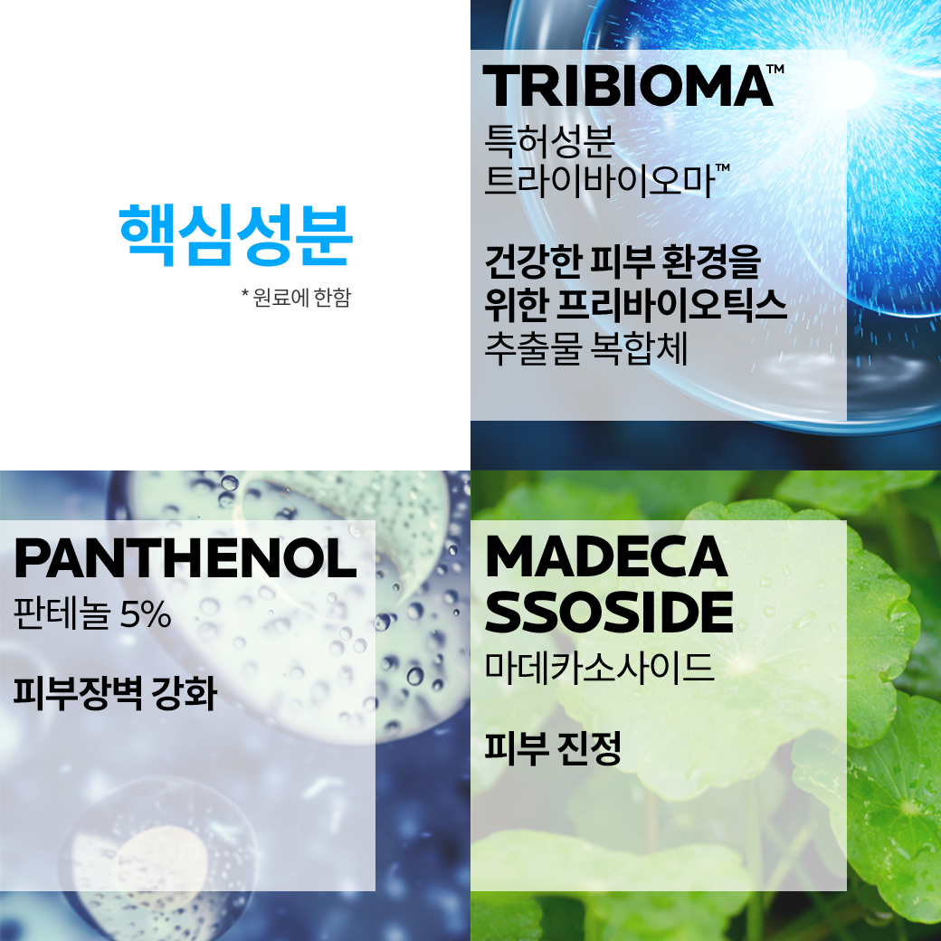 대용량 밤 B5+ [200ml] 