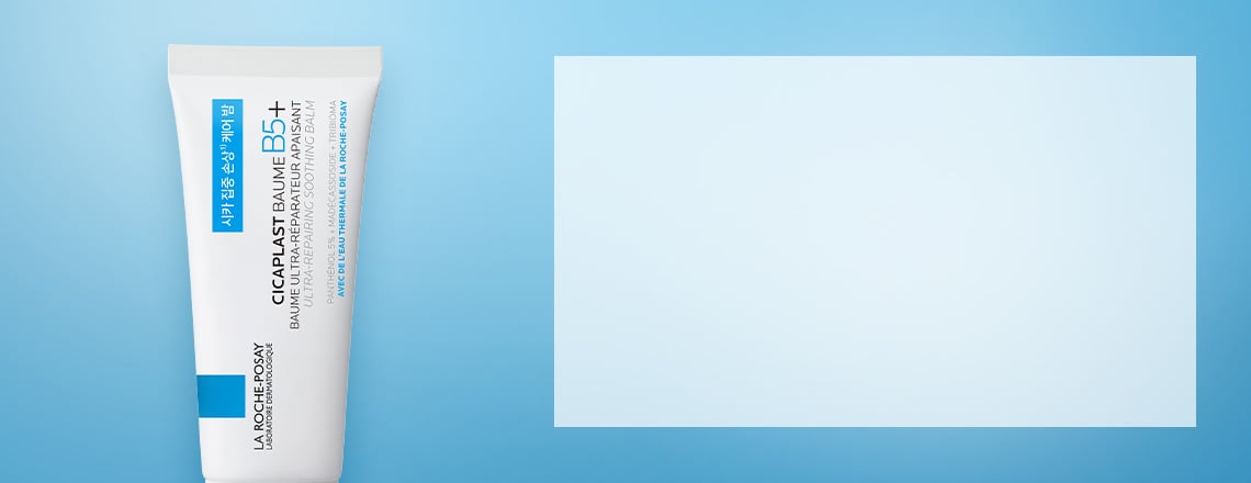 신규 회원 전용💙