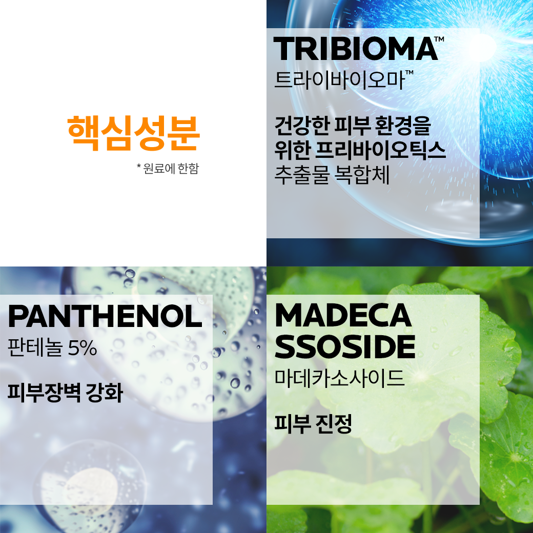 밤 B5+ SPF50+ [40ml]